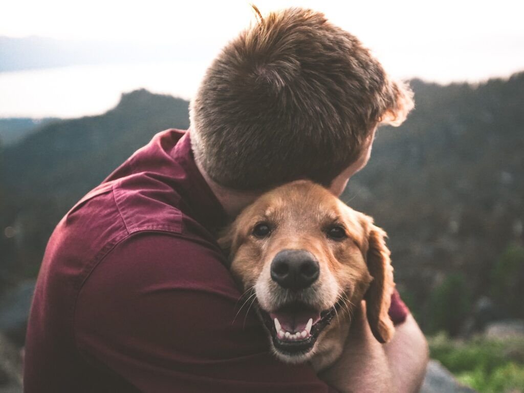 missão dos cães na terra